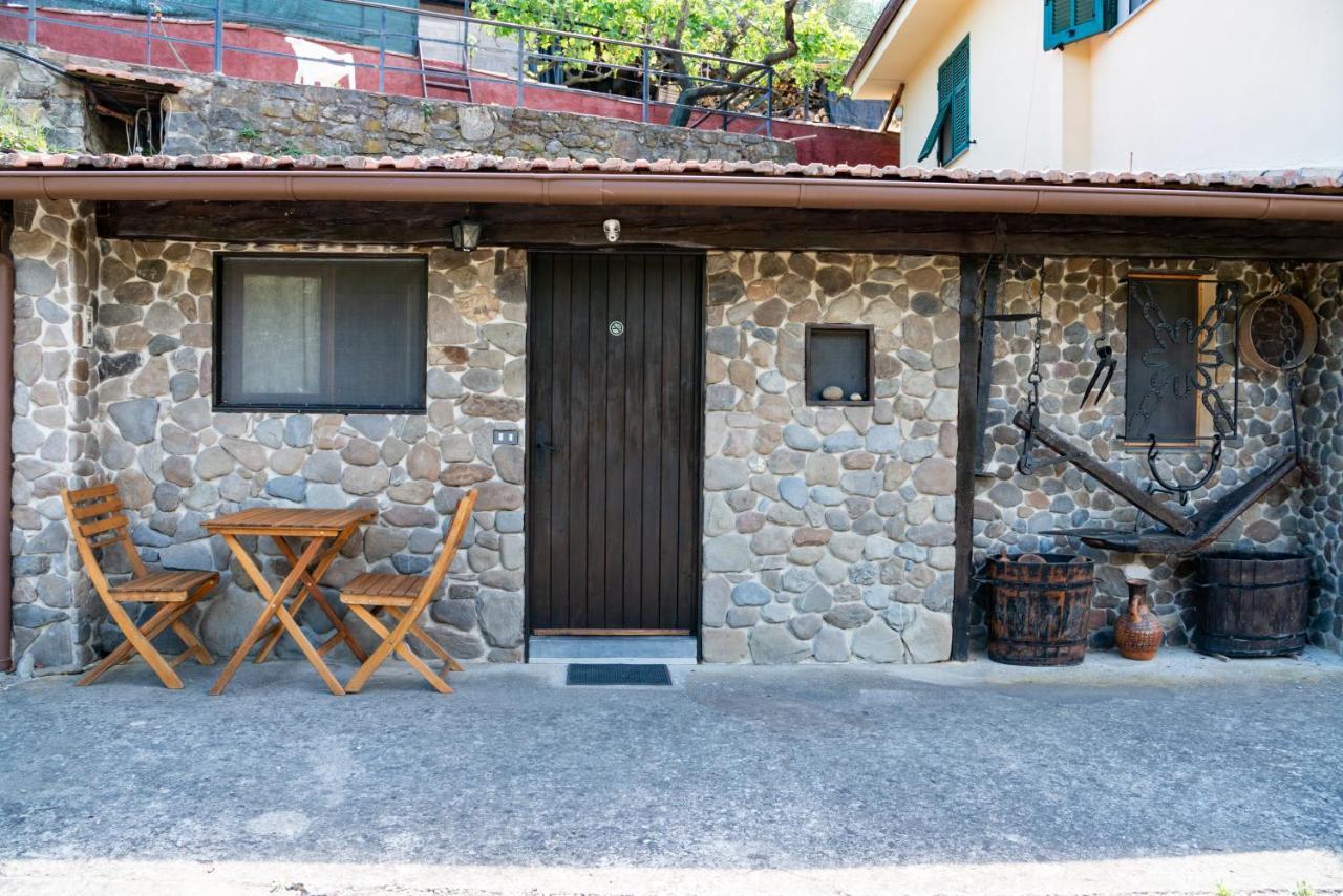 Antica Macina - “La Taverna” Rocchetta Nervina Exteriör bild